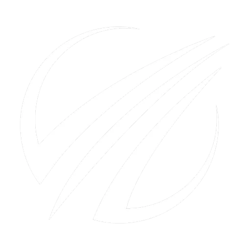 Logo Transporte Proyectos y Servicios